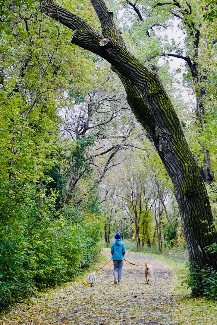 A Lovely Walk in the Park